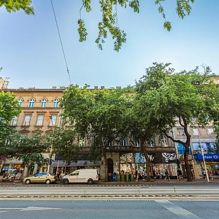 Elizabeth Boulevard Serenity